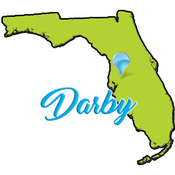 Darby cleaning services