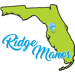 Ridge Manor cleaning services
