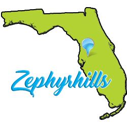 Zephyrhills cleaning services