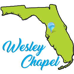 logo wesley chapel cleaning services